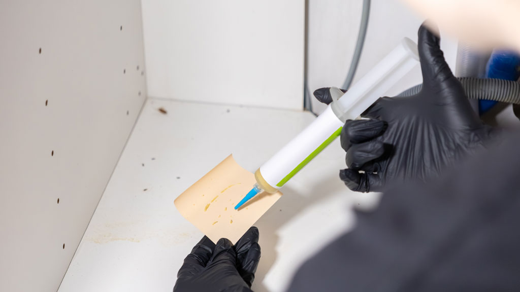 Traces sombres caractéristiques cafards le long plinthe cuisine