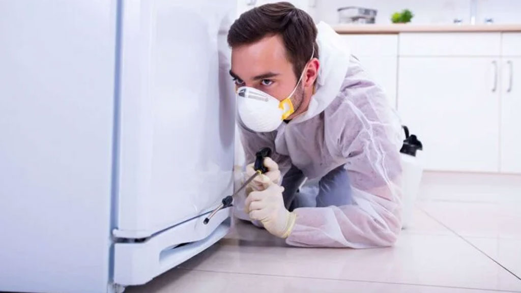 Personne tirant réfrigérateur pour inspecter présence cafards