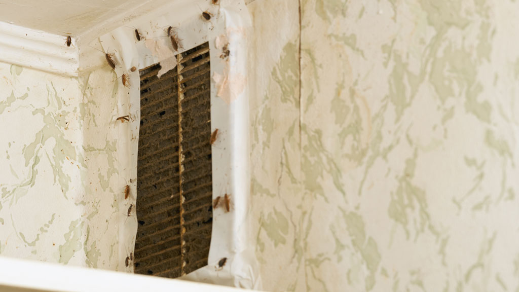 Grille ventilation salle de bain immeuble ancien marseillais